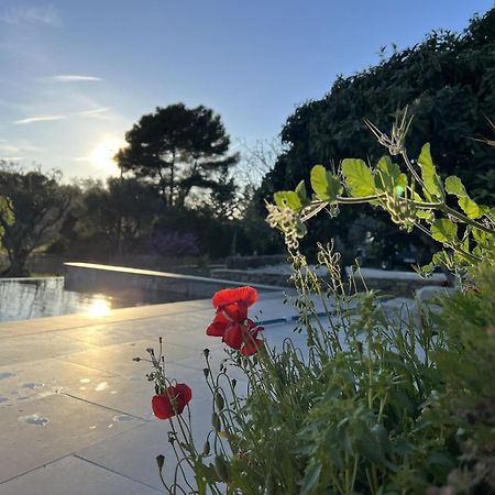 Le Mas Golie Le Castellet  Eksteriør bilde